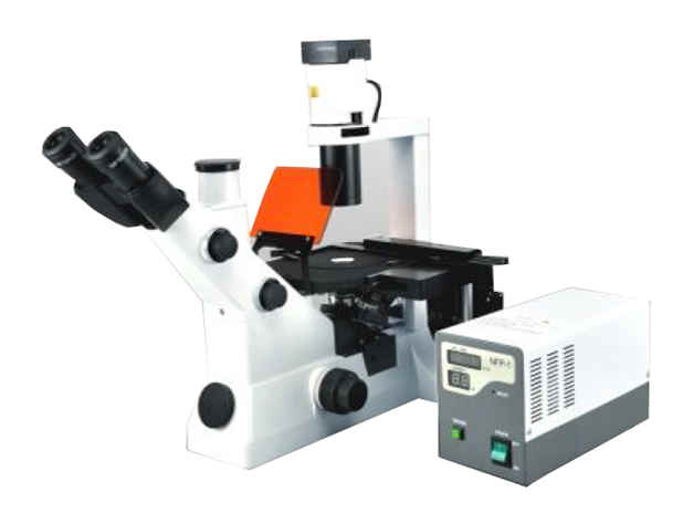 Meizs MS900F高級熒光顯微鏡