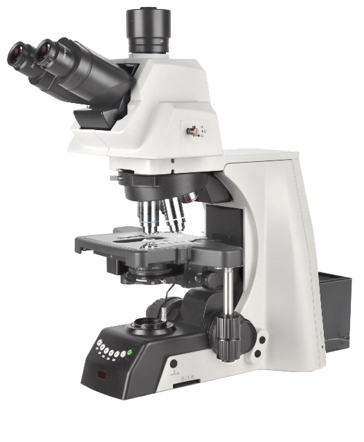 NE930科研級電動生物顯微鏡