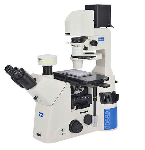 NIB900研究級倒置生物顯微鏡